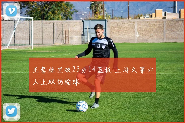 王哲林空砍25分14篮板 上海久事六人上双仍输球